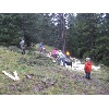 IMG 4931