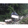 IMG 4937