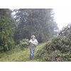 IMG 4941