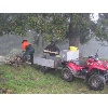 IMG 4949