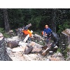 IMG 4951
