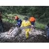 IMG 4979
