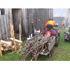 IMG 4987