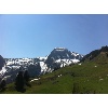 IMG 0102 1