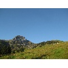 IMG 7229