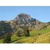 IMG 7231