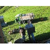 IMG 7233