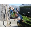 IMG 7252
