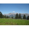 IMG 7259