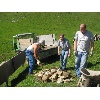 IMG 7283