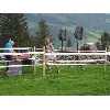 IMG 1938 1024x768