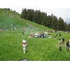 IMG 0006 1024x768