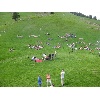 IMG 0007 1024x768