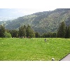 IMG 0013 1024x768