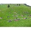 IMG 0020 1024x768