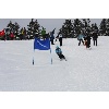 IMG 2154 1024x683