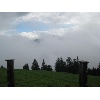IMG 0455 1024x768