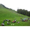 IMG 0473 1024x768