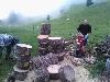 WP 001356 1024x768