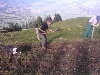 WP 001379 1024x768