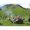 IMG 4033