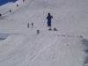 Elm 20 1024x768