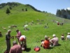 IMG 0087 1024x768