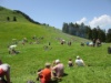 IMG 0088 1024x768